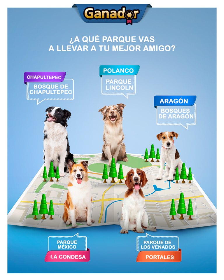 Pets México – Alimento para mascotas – Tienda compra de accesorios y alimento para perro, gato y online y a domicilio